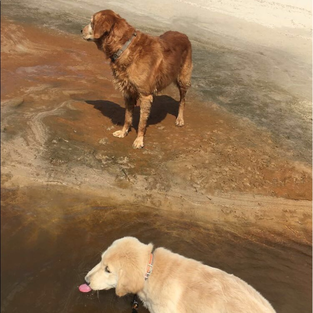 Meet your Posher, Kamryn